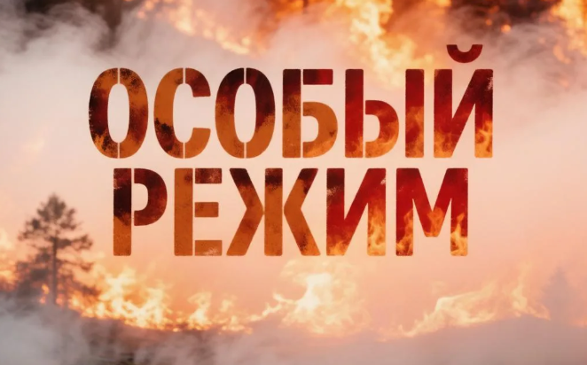 Особый режим с запретами и штрафами ввели на территории Дальнегорского МО