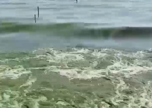 Необычное видео сняли на озере Ханка в Приморье 