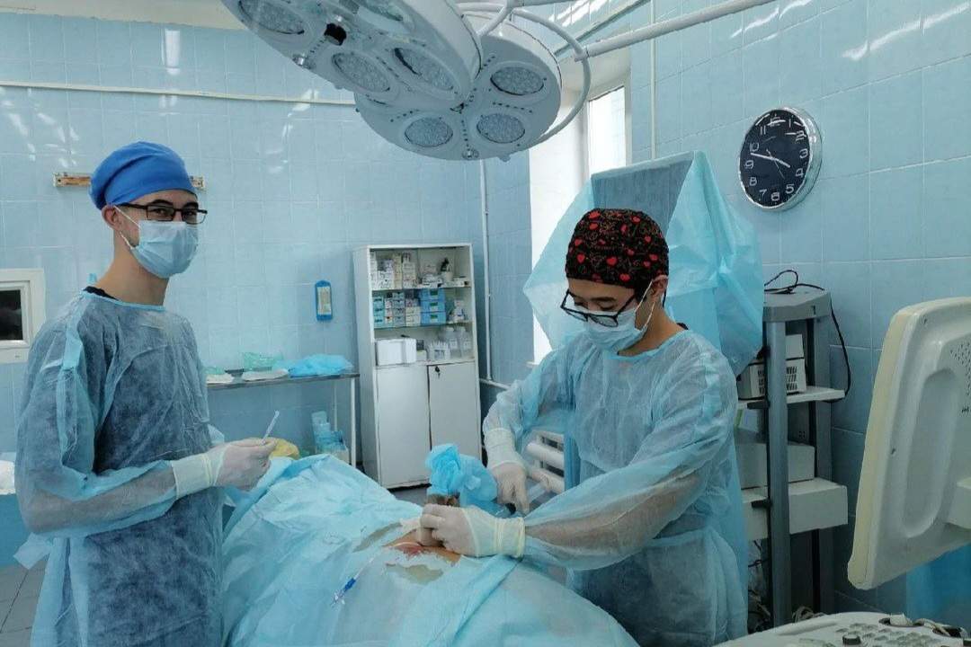 Врачи рассказали, какие заболевания довели находкинцев «от стола до больничной койки» 