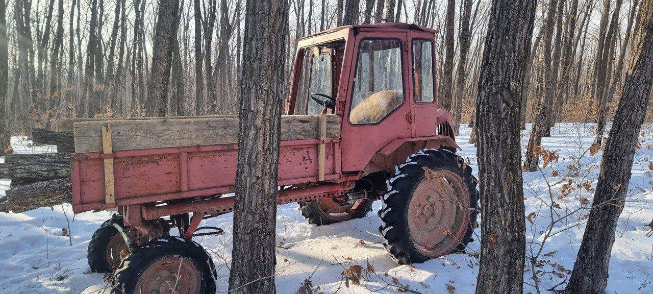 В Уссурийске мужчина «обидел» деревья на 300 тысяч рублей и лишение своды