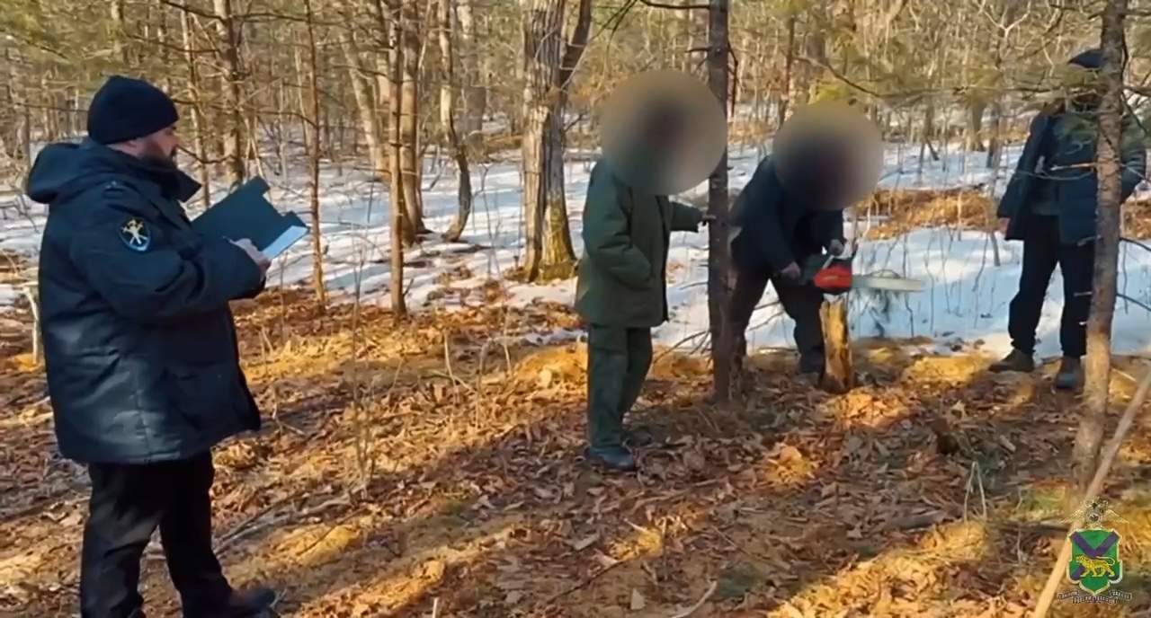 Жители Хасанского округа нанесли миллионный ущерб государству 