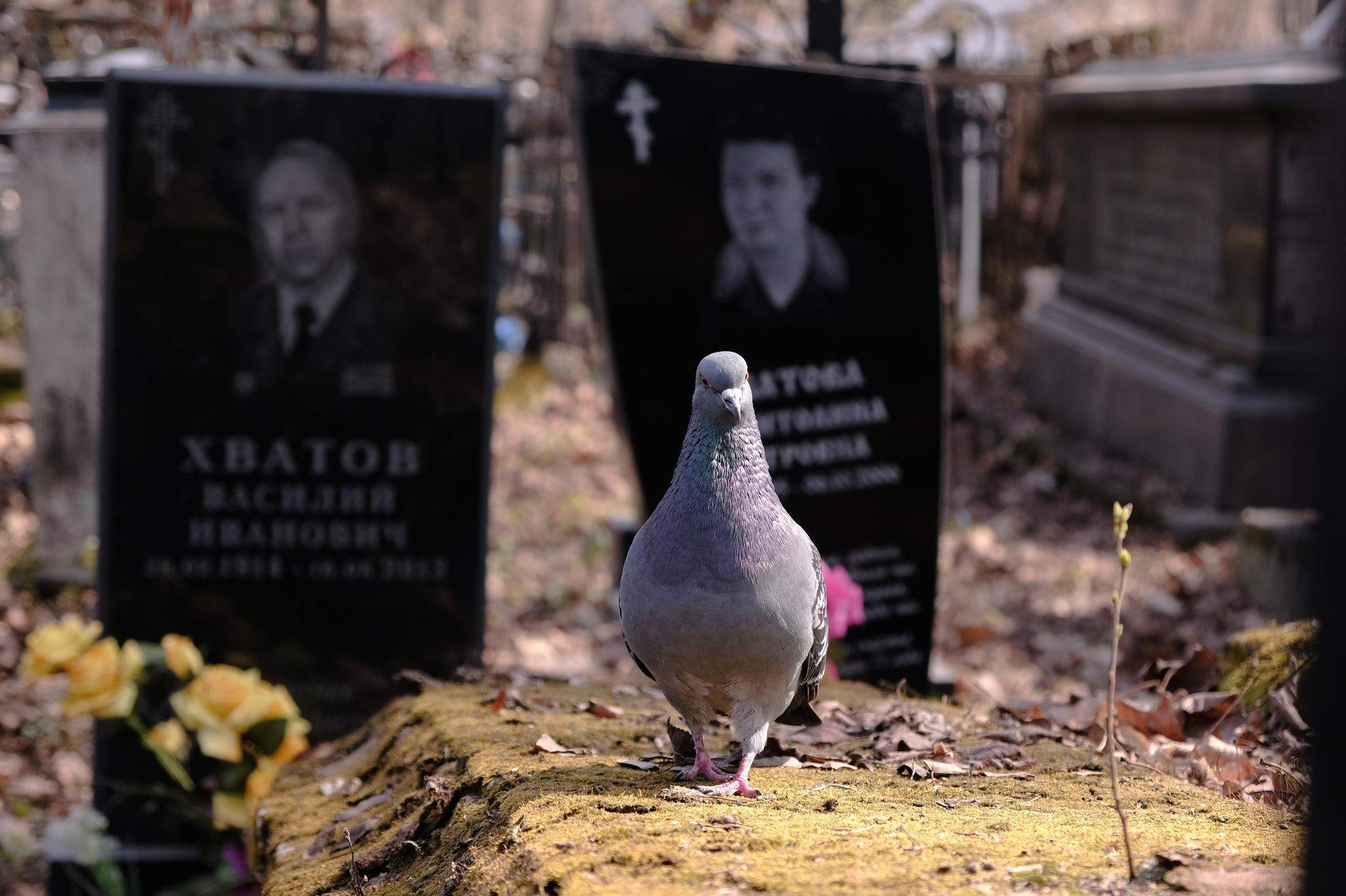 Полиция экстренно прибыла на кладбище в Артёме