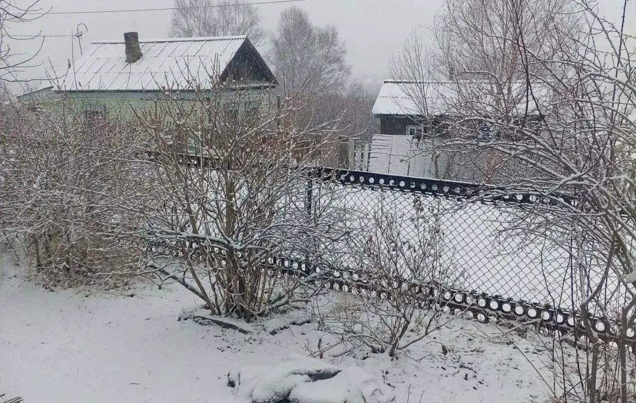 Апрельское снежное чудо засняли в Богуславке