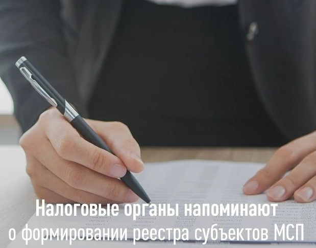 Налоговая напоминает приморцам об обновлении реестра МСП