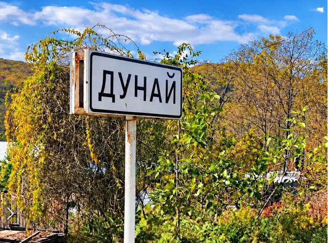 Два «тигра» взяли под охрану посёлок Дунай в Приморье